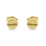 Screw Earrings